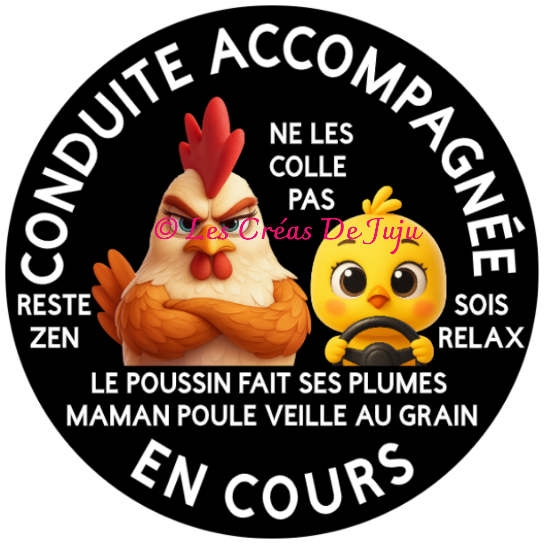 Macaron aimanté conduite accompagnée en cours maman poule plusieurs versions