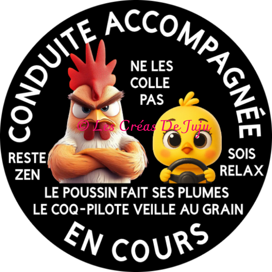 Macaron aimanté conduite accompagnée en cours coq pilote plusieurs versions