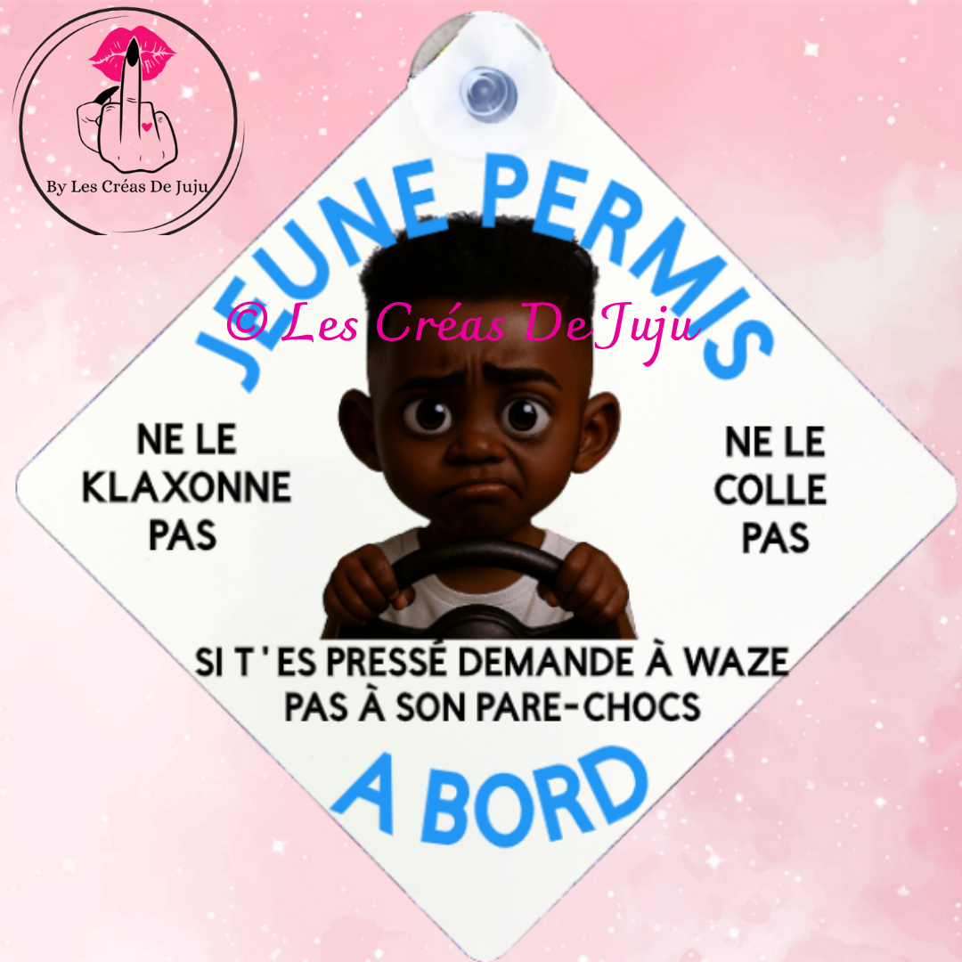 Plaque ventouse jeune permis brun, blond, roux, peau noire