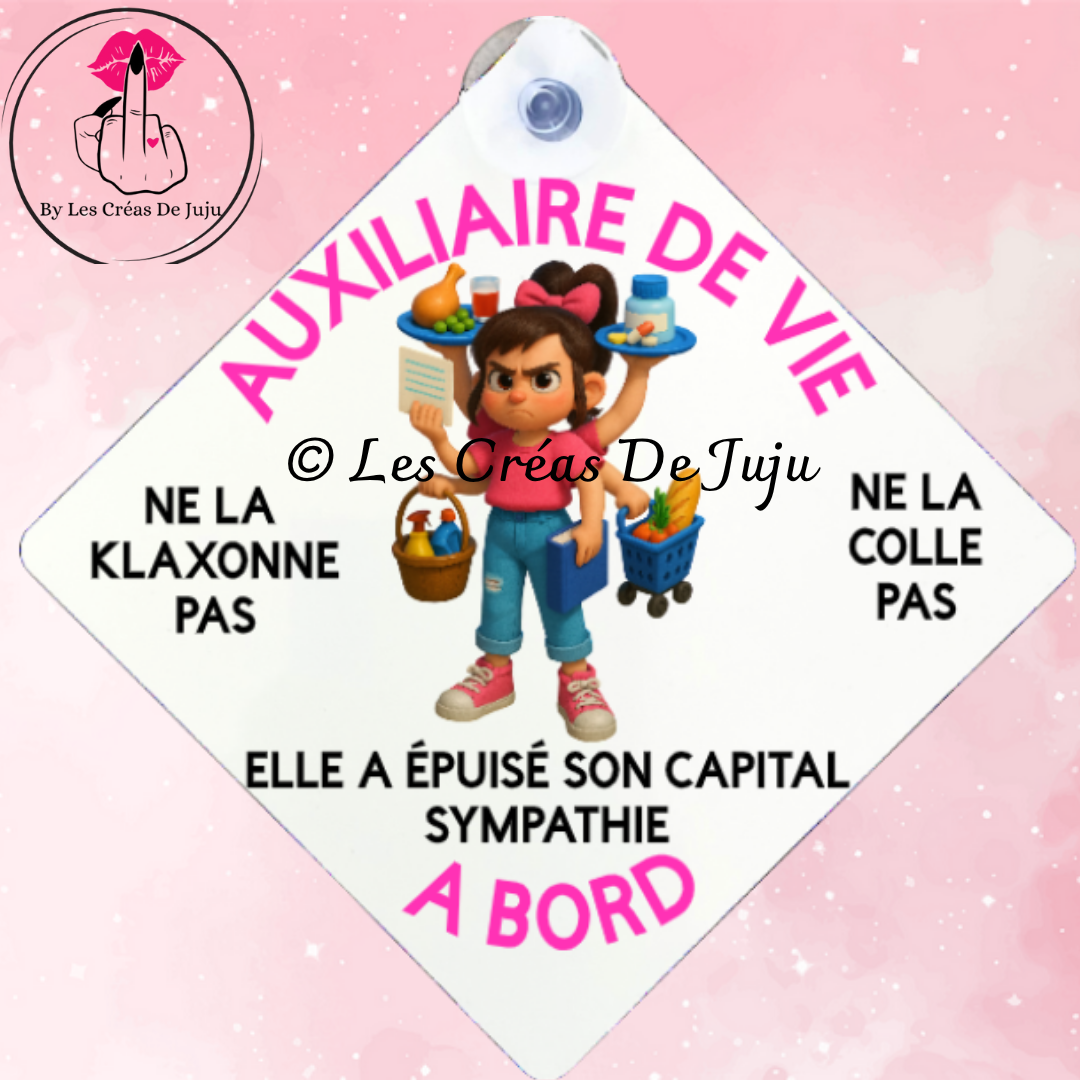 Plaque ventouse auxiliaire de vie à bord