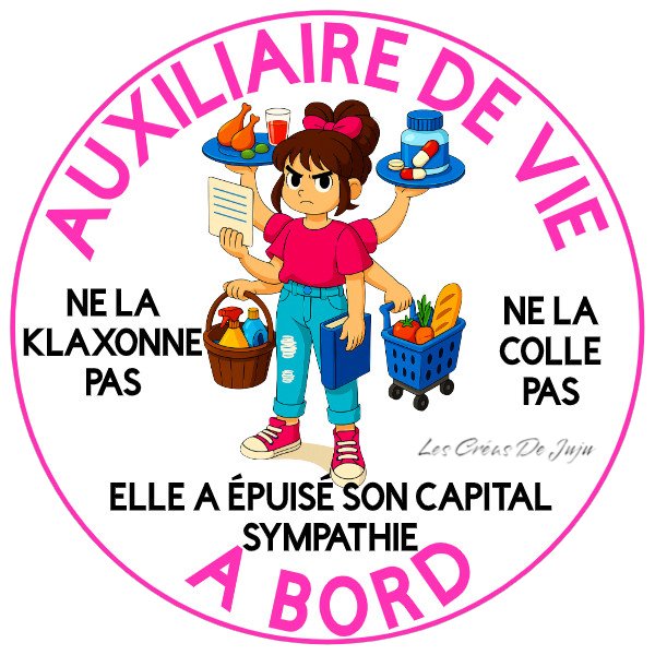 Stickers auxiliaire de vie à bord