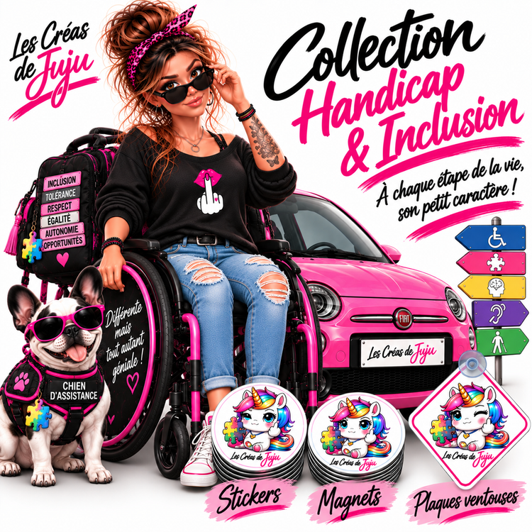 Handicap et inclusion