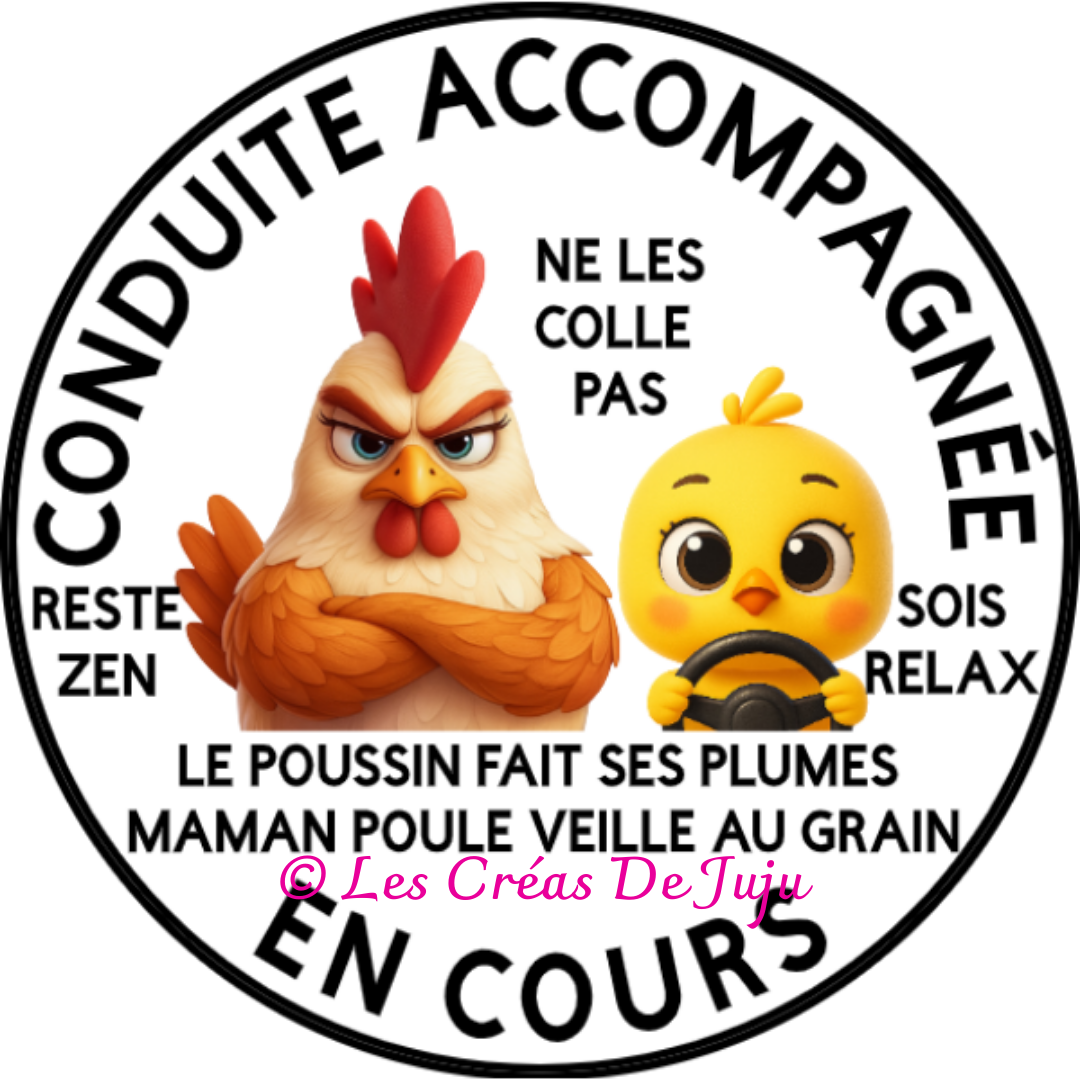 Macaron aimanté conduite accompagnée en cours maman poule