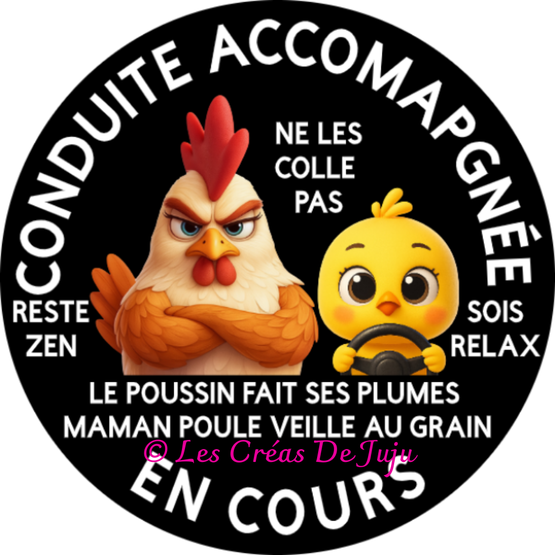 Macaron aimanté conduite accompagnée en cours maman poule