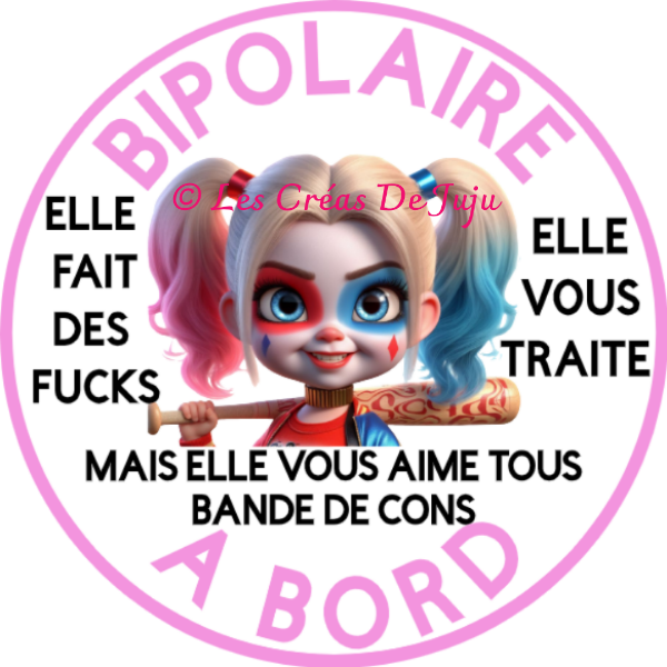 Magnet pour voiture humour "aimanté bipolaire à bord" - Les Créas de Juju - photo 2
