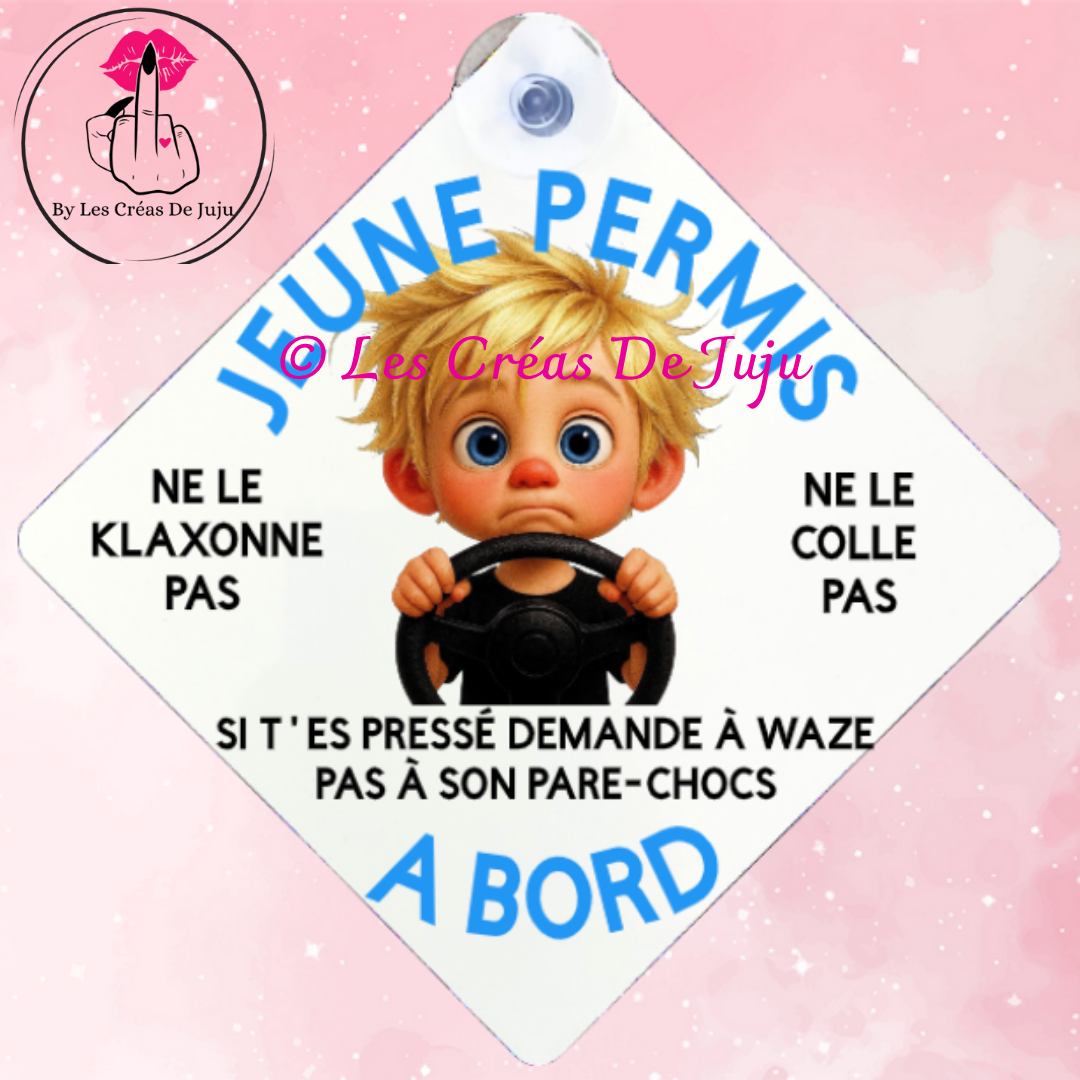 Plaque ventouse jeune permis brun, blond, roux, peau noire
