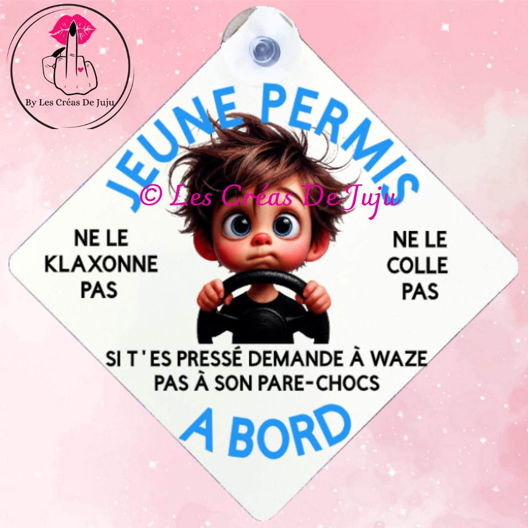 Plaque ventouse jeune permis brun, blond, roux, peau noire