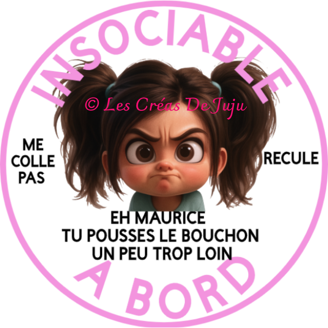 Magnet pour voiture humour "aimanté insociable à bord brune" - Les Créas de Juju