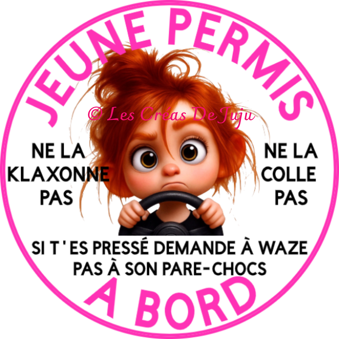 Macaron aimanté jeune permis à bord fille brune, blonde, rousse, peau noire