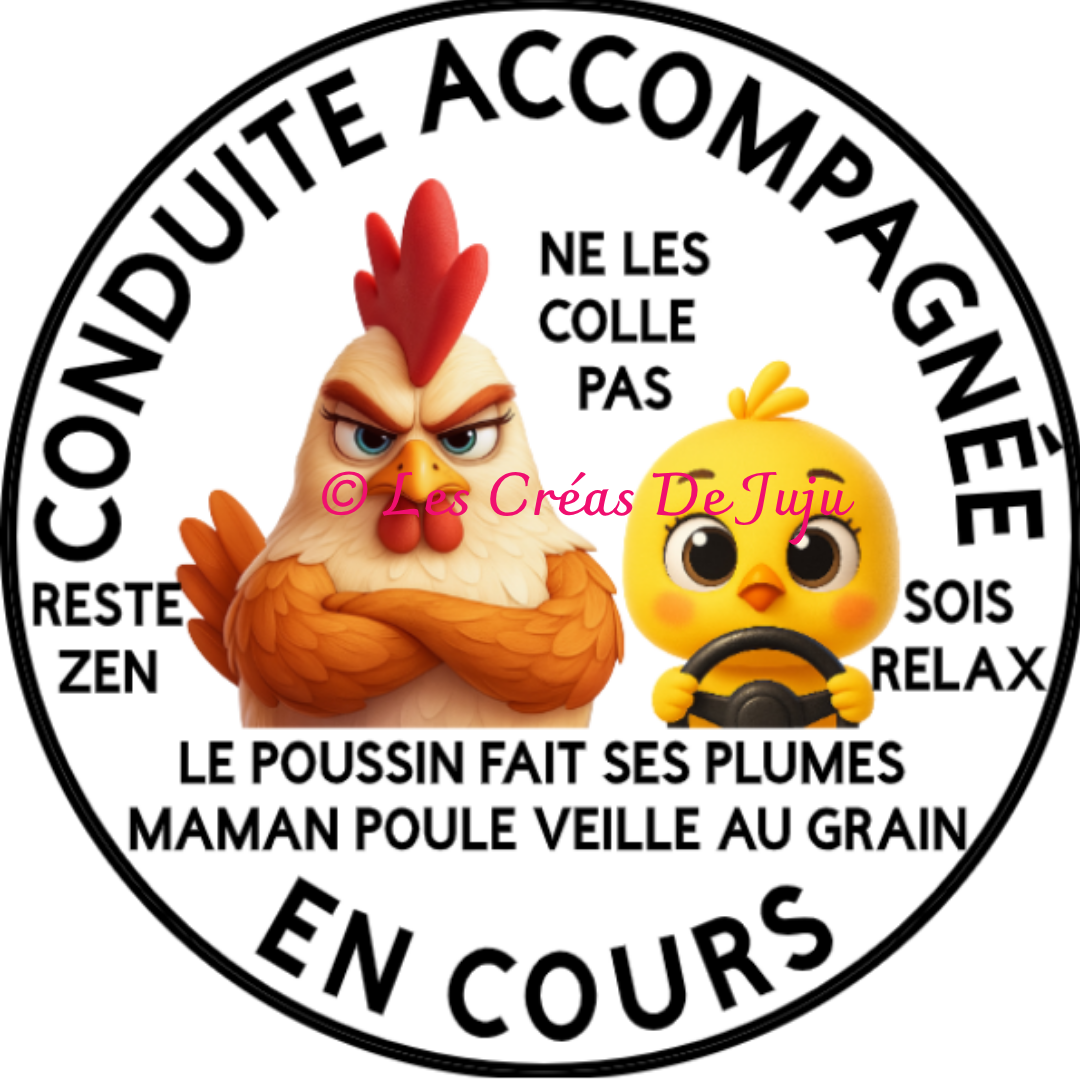 Macaron aimanté conduite accompagnée en cours maman poule plusieurs versions