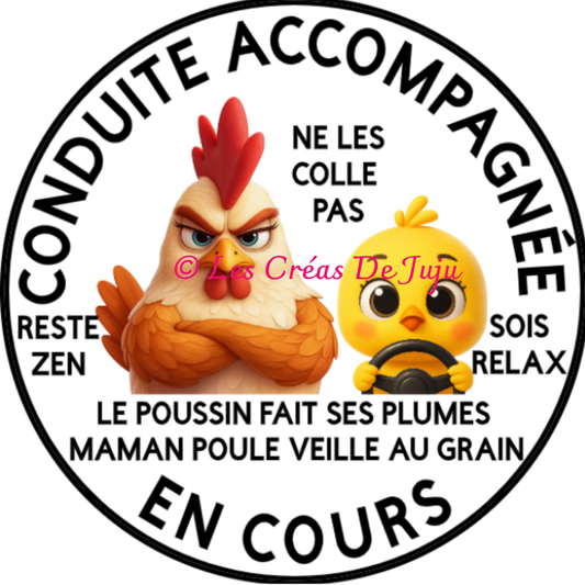 Macaron aimanté conduite accompagnée en cours maman poule plusieurs versions