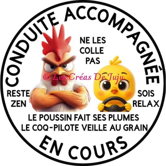 Macaron aimanté conduite accompagnée en cours coq pilote plusieurs versions