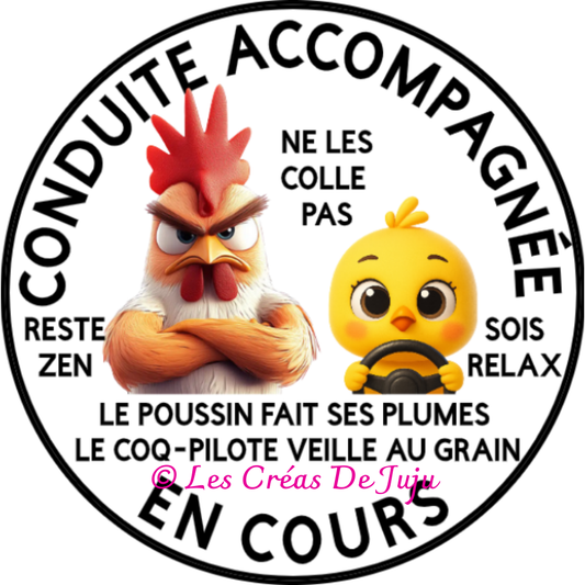 Macaron aimanté conduite accompagnée en cours coq pilote