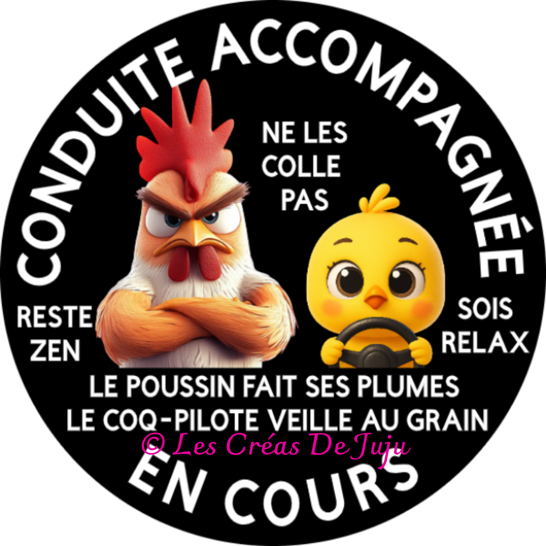 Macaron aimanté conduite accompagnée en cours coq pilote