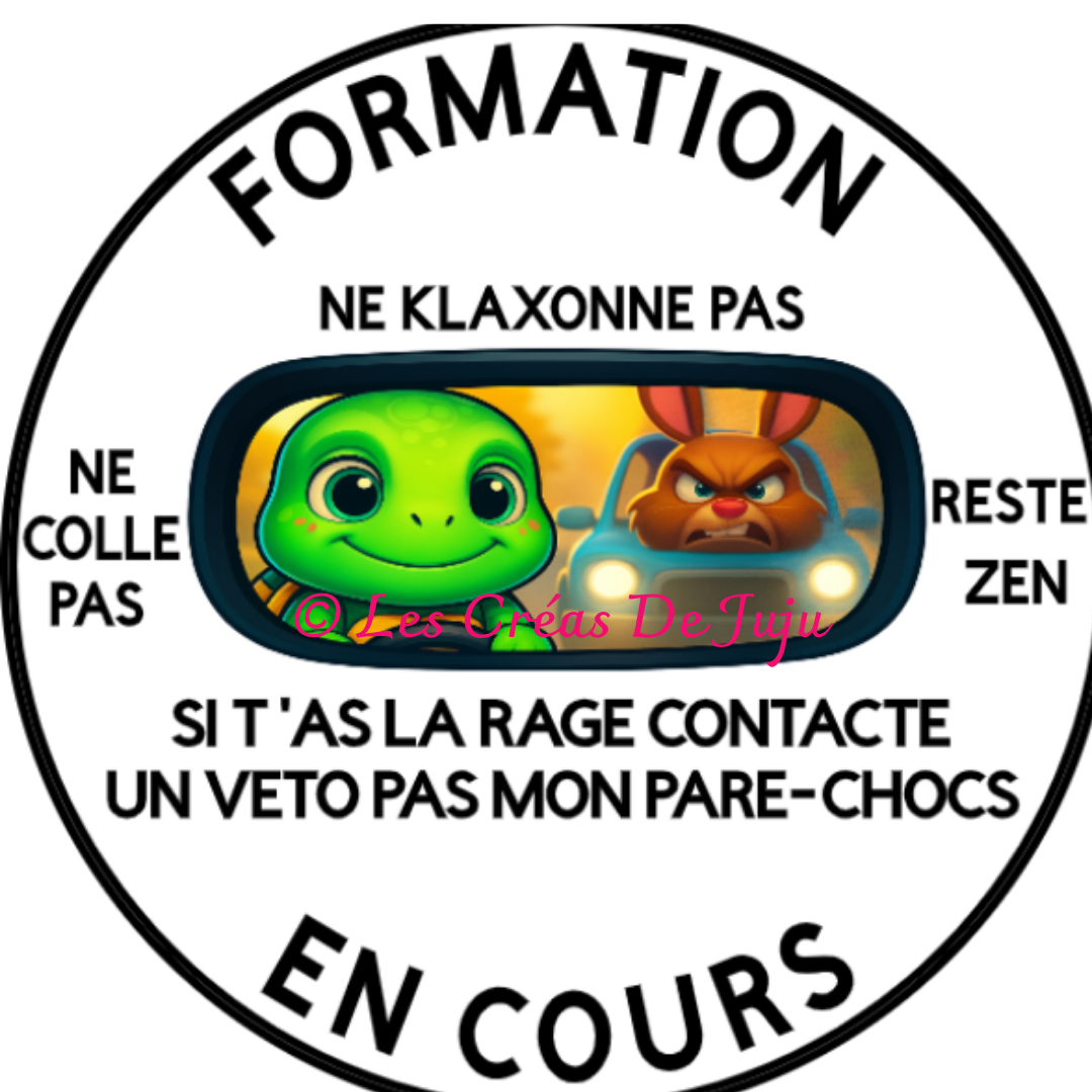 Macaron aimanté pour auto-école formation en cours