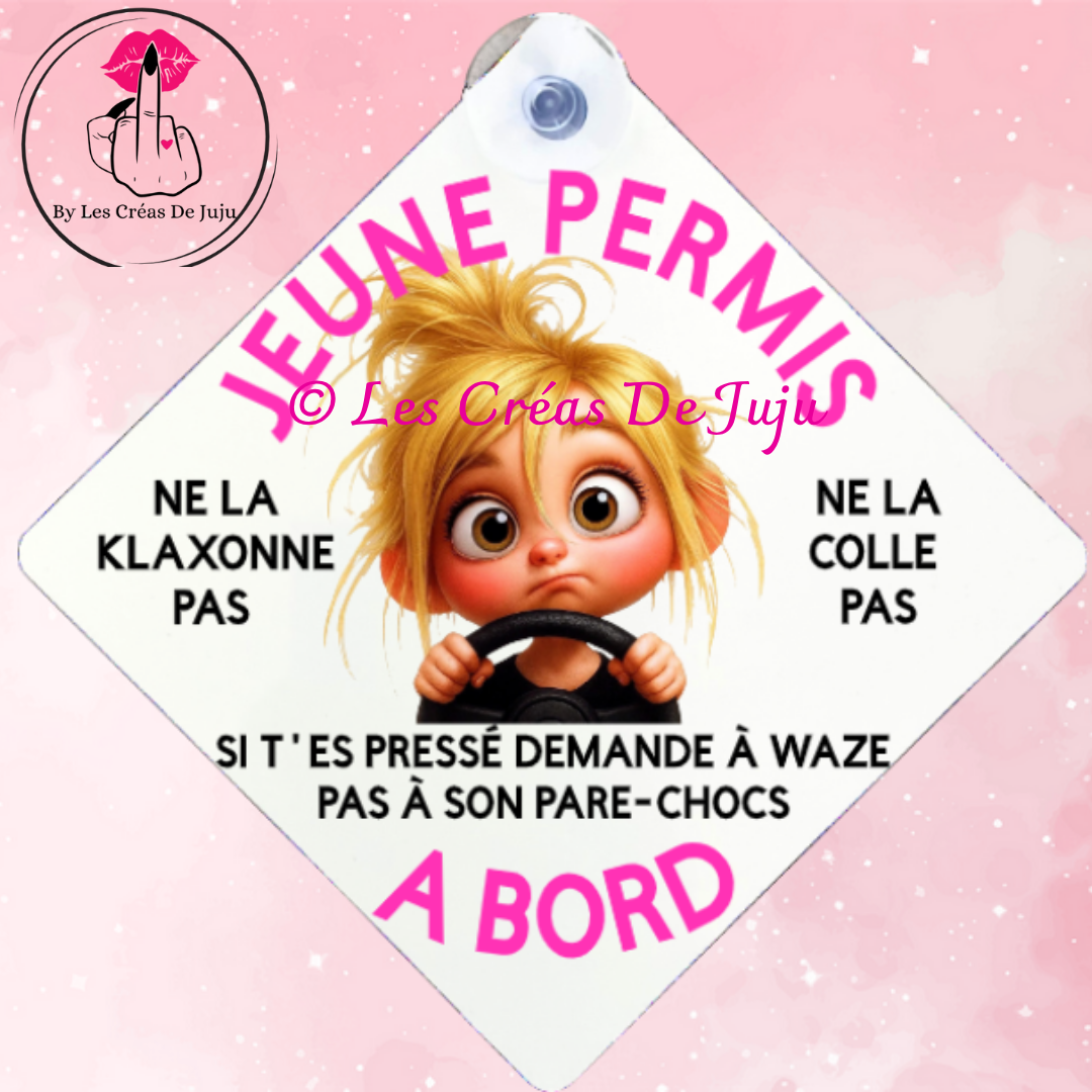 Plaque ventouse jeune permis brune, blonde, rousse, peau noire
