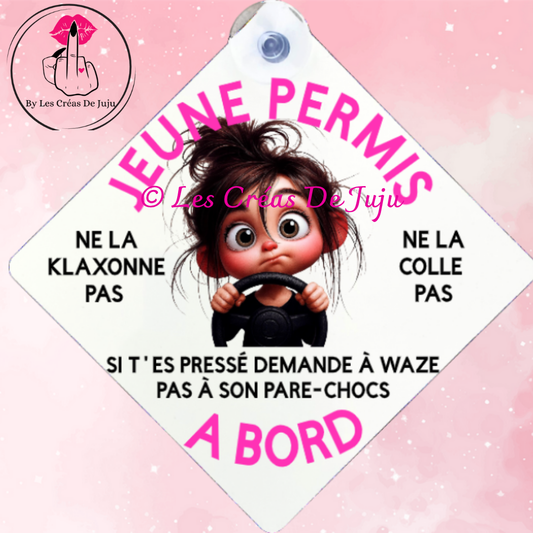 Plaque ventouse jeune permis brune, blonde, rousse, peau noire