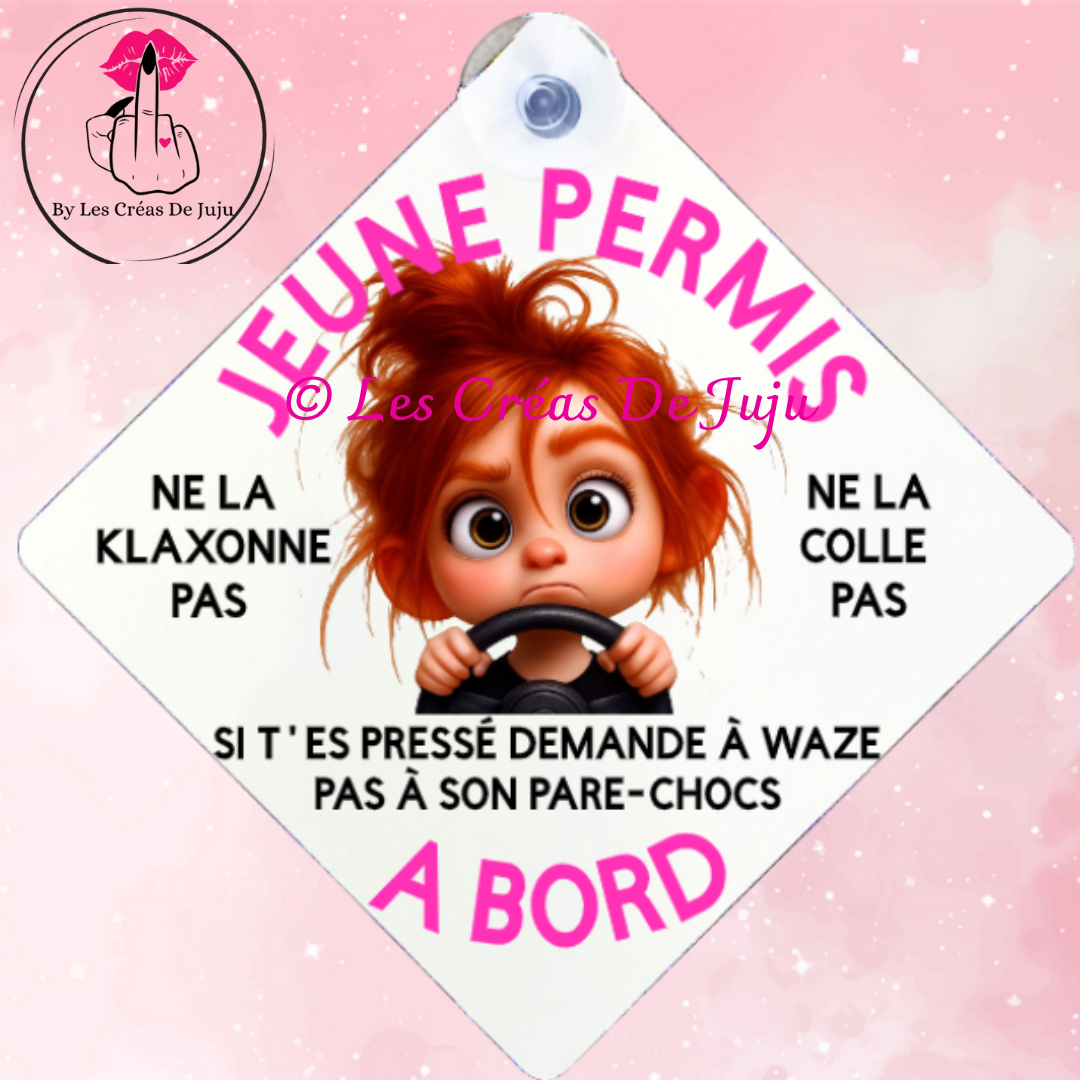 Plaque ventouse jeune permis brune, blonde, rousse, peau noire
