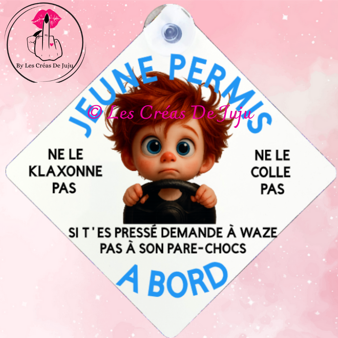 Plaque ventouse jeune permis brun, blond, roux, peau noire