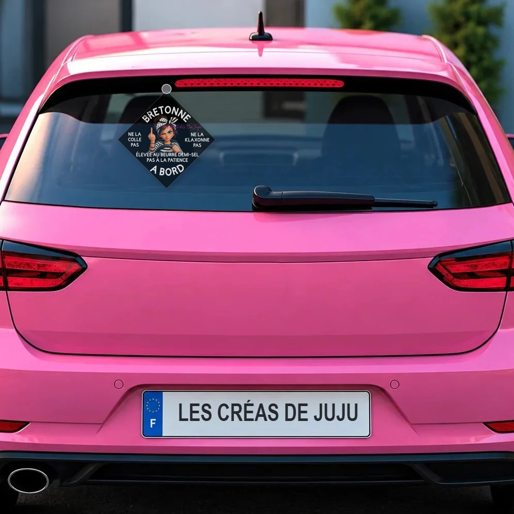 Plaque ventouse bretonne à bord 3 versions derrière la lunette arrière d'une voiture rose – Les Créas De Juju