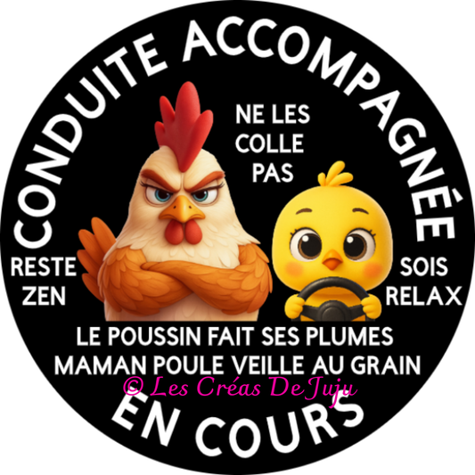 Macaron aimanté conduite accompagnée en cours maman poule