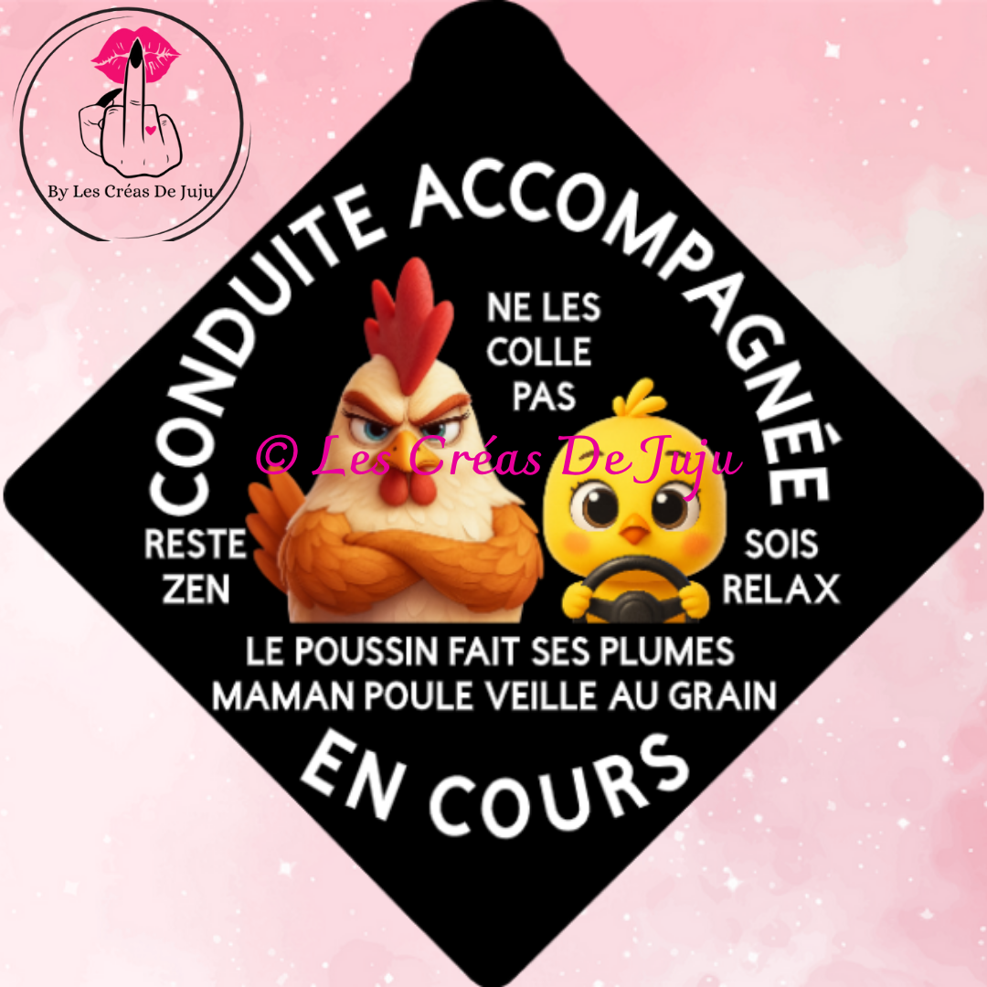 Plaque ventouse conduite accompagnée plusieurs versions