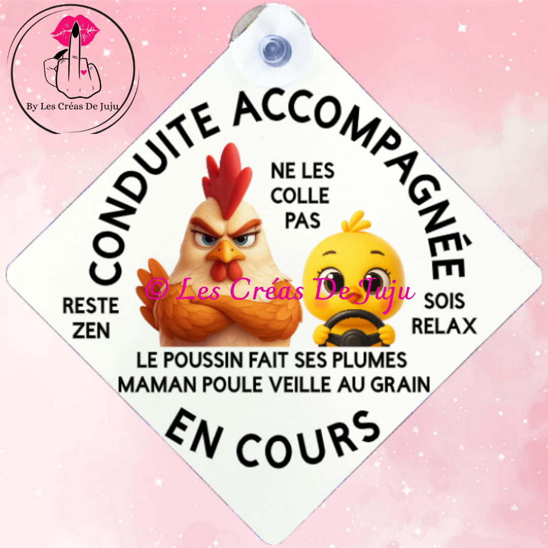 Plaque ventouse conduite accompagnée plusieurs versions