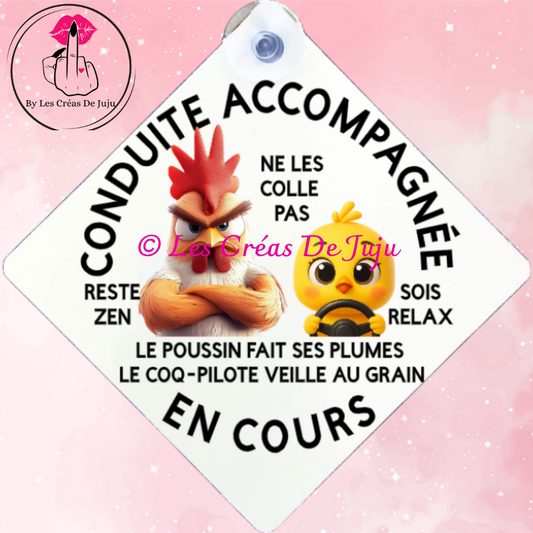 Plaque ventouse conduite accompagnée plusieurs versions