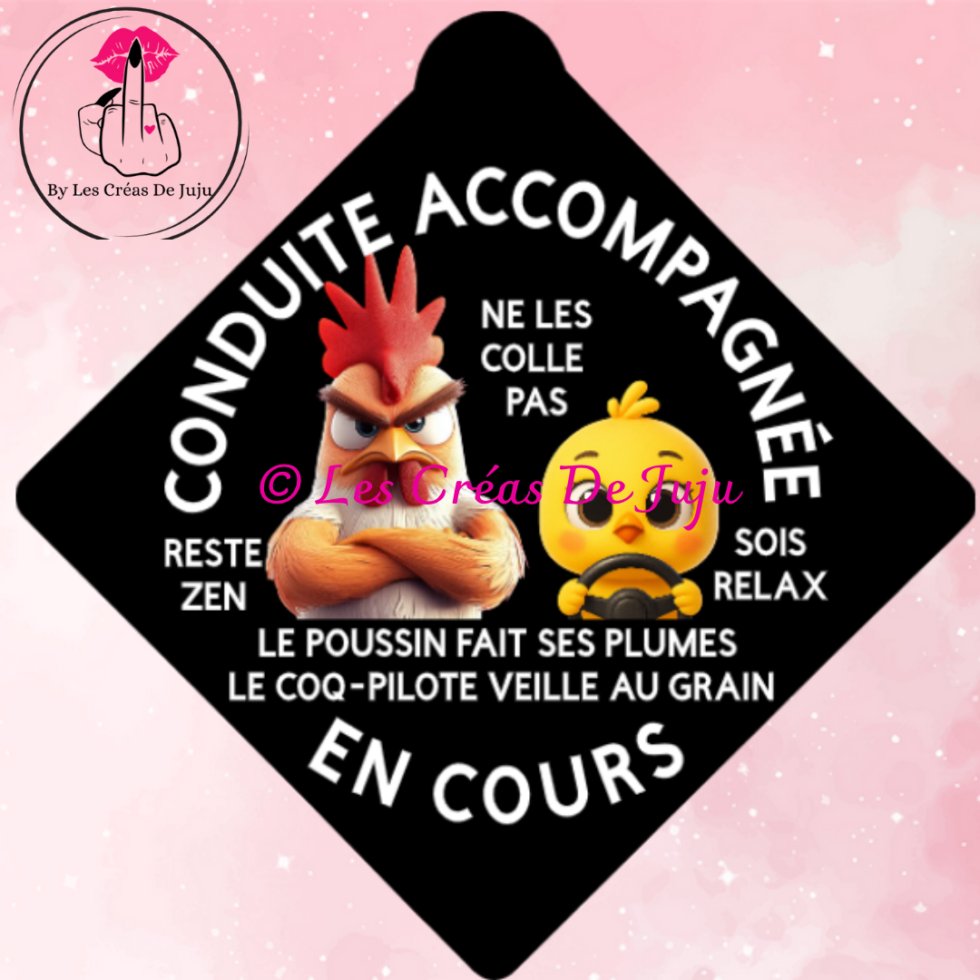 Plaque ventouse conduite accompagnée plusieurs versions