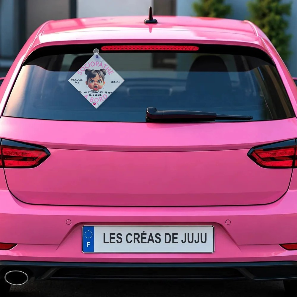 Plaque ventouse sociopathe à bord brune, blonde, rousse, peau noire, cheveux blancs, lunettes... derrière la lunette arrière d'une voiture rose – Les Créas De Juju