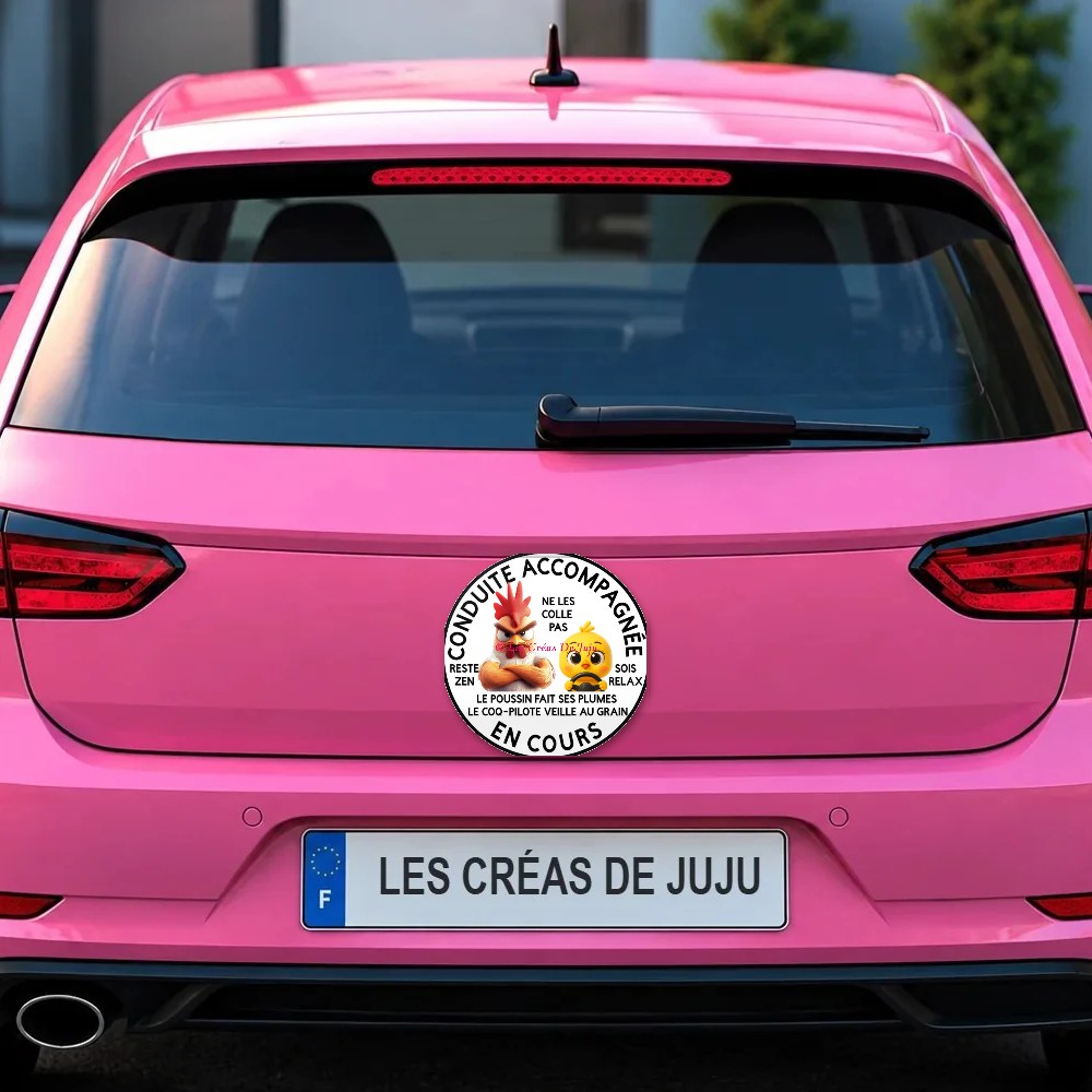 Magnet conduite accompagnée en cours coq pilote plusieurs versions sur le coffre d'une voiture rose – Les Créas De Juju