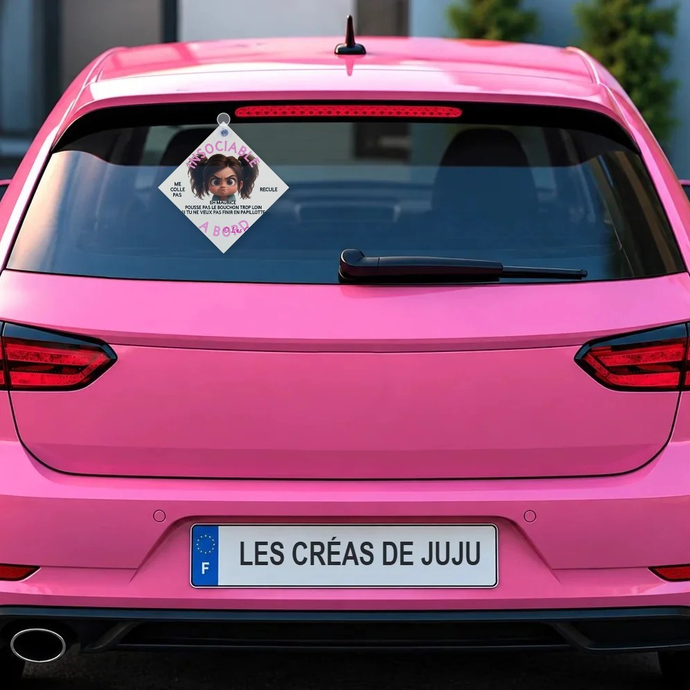Plaque ventouse insociable à bord derrière la lunette arrière d'une voiture rose – Les Créas De Juju